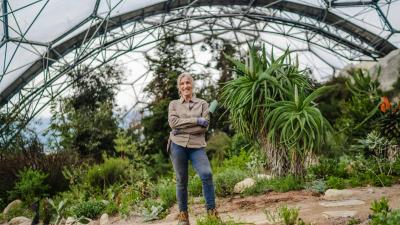 Gardener standing holding trowel in Eden Project Mediterranean Biome